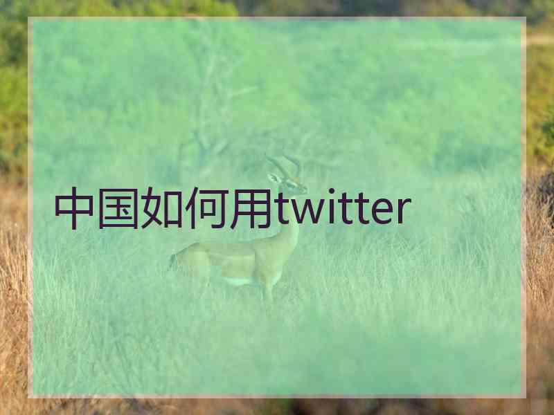 中国如何用twitter