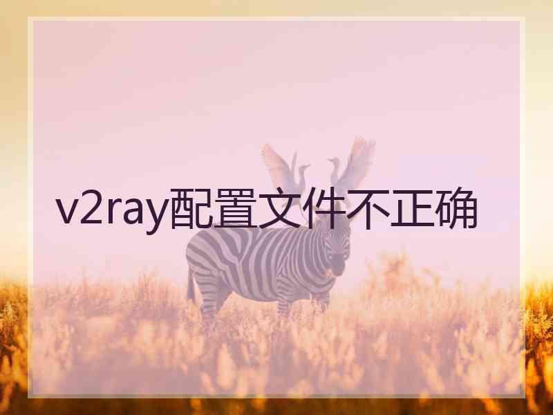 v2ray配置文件不正确