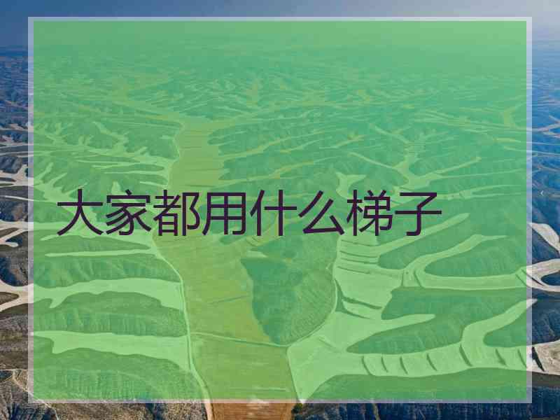 大家都用什么梯子