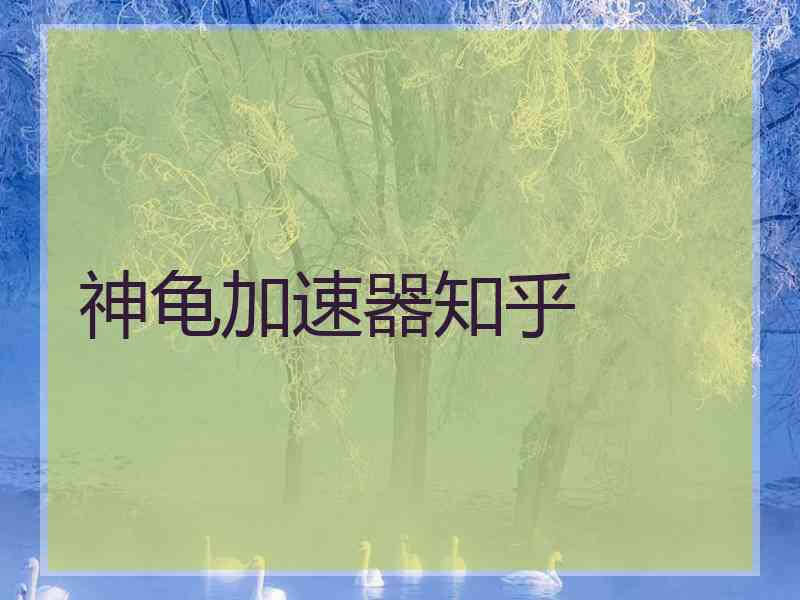 神龟加速器知乎