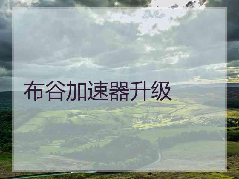 布谷加速器升级