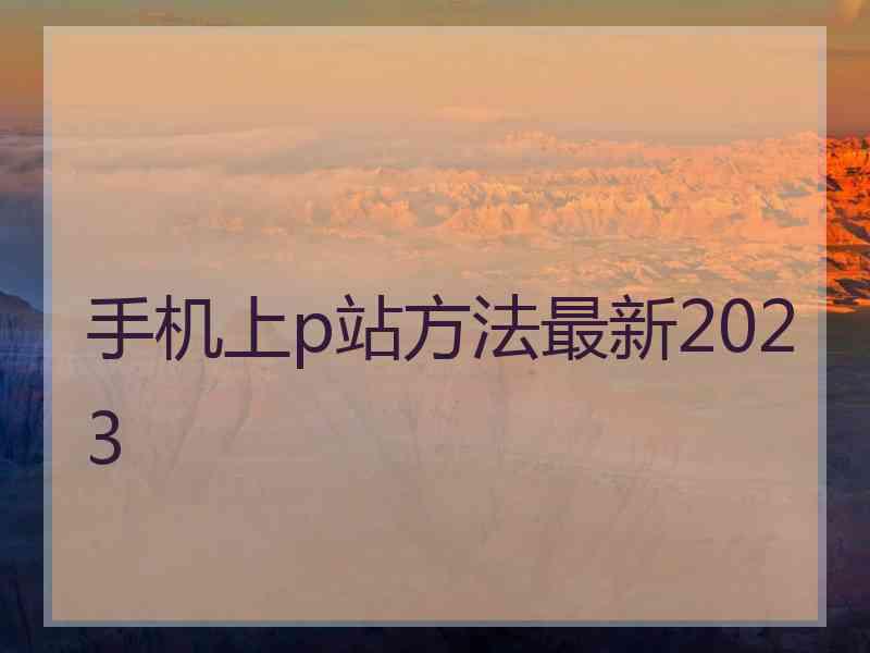 手机上p站方法最新2023