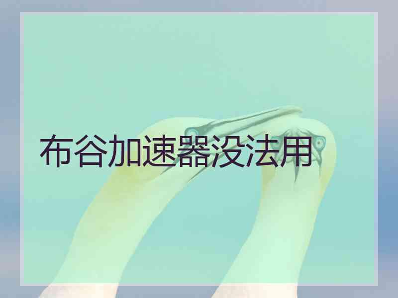 布谷加速器没法用