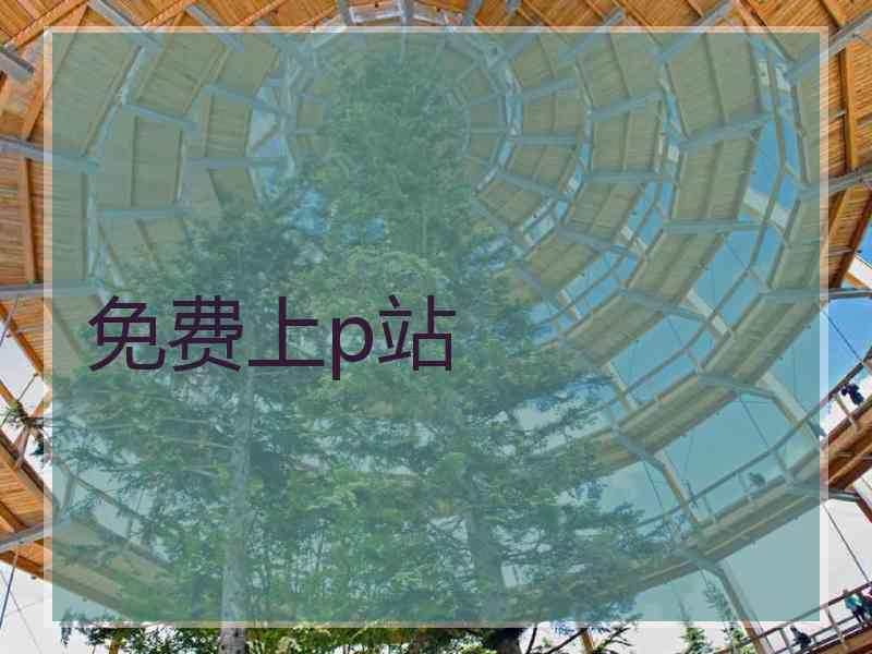 免费上p站