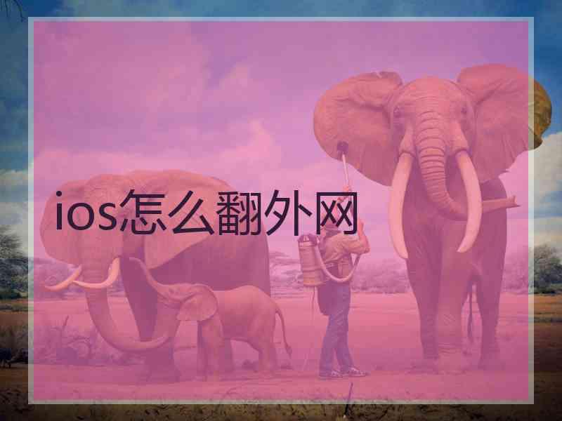 ios怎么翻外网