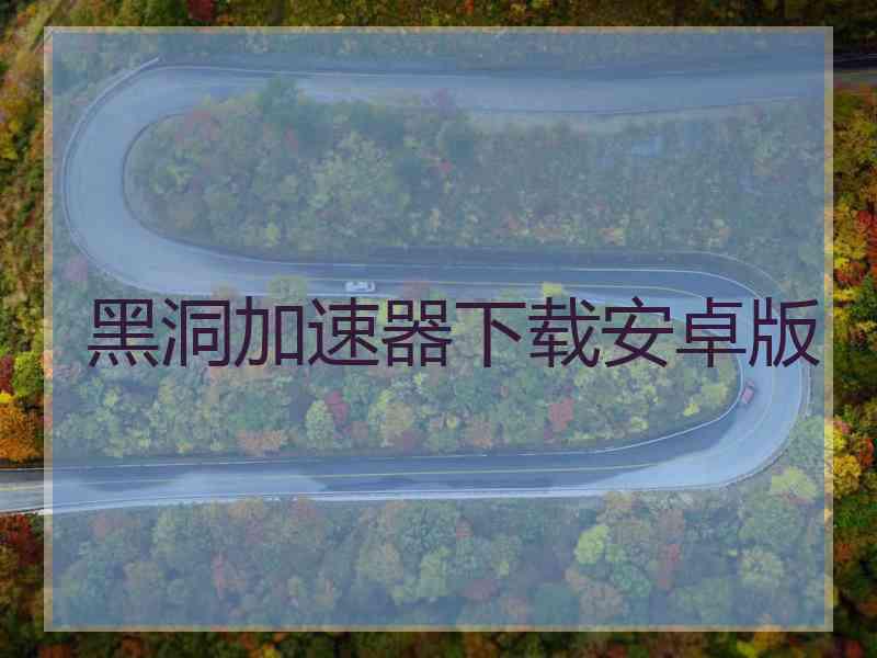 黑洞加速器下载安卓版