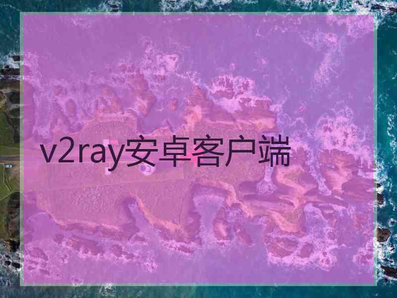 v2ray安卓客户端