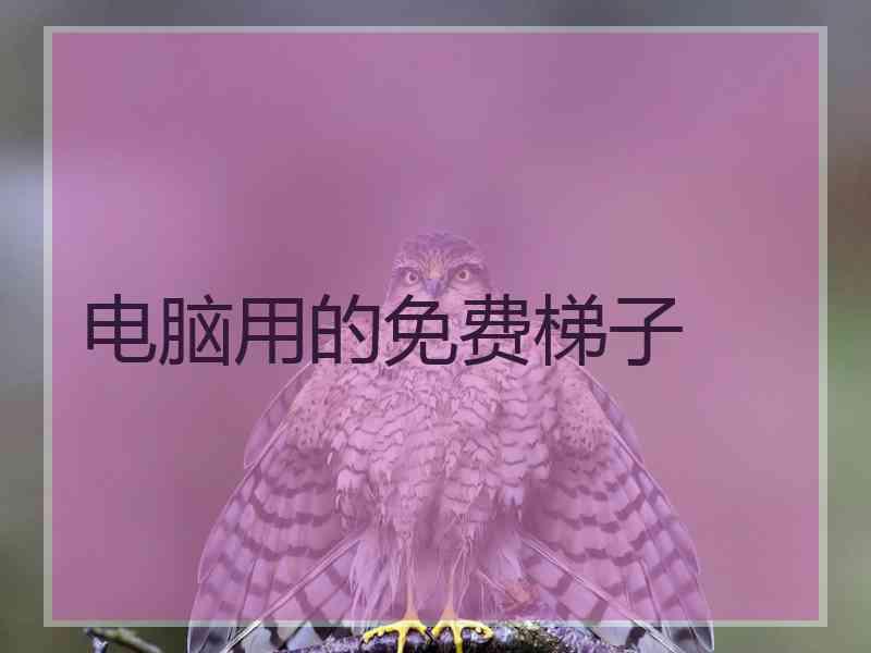 电脑用的免费梯子