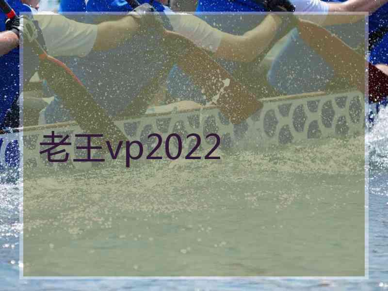 老王vp2022