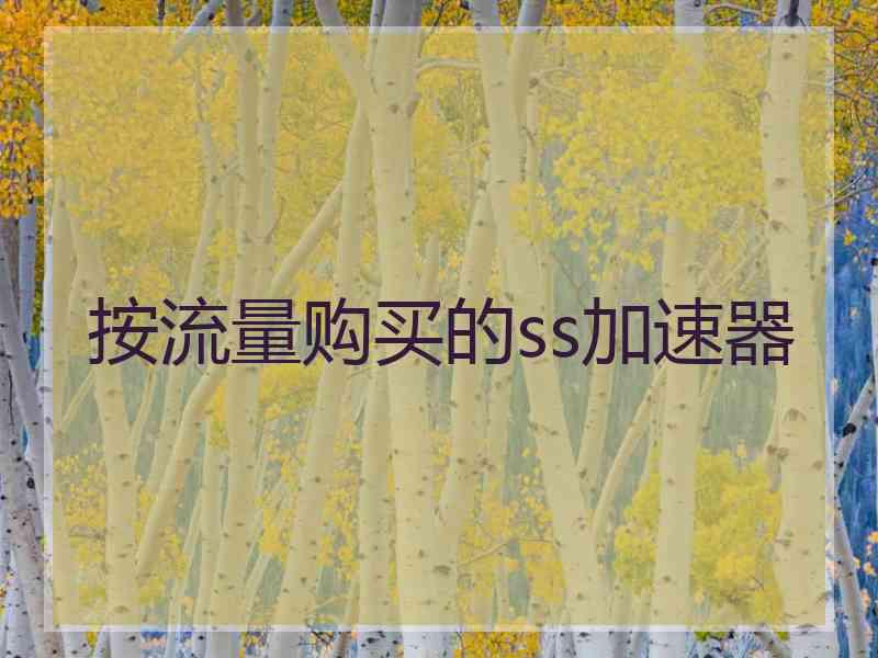 按流量购买的ss加速器