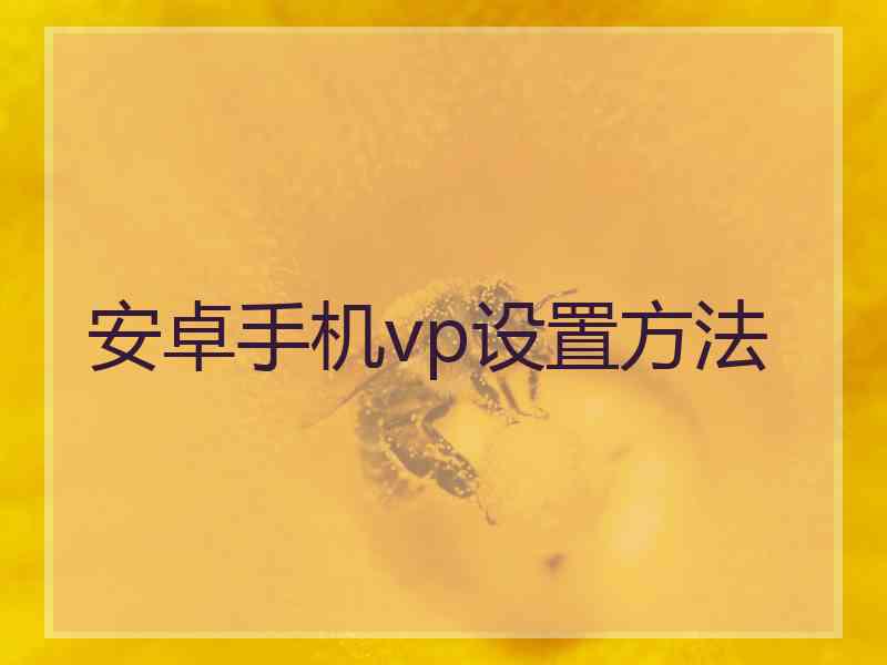 安卓手机vp设置方法