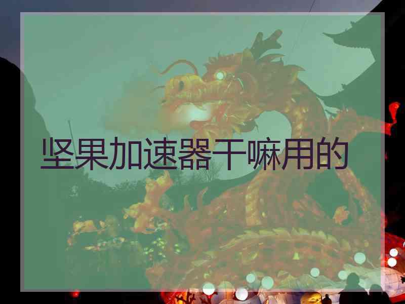 坚果加速器干嘛用的